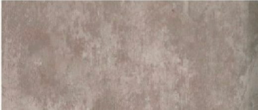 Polo Gris , Noliktavā: 50 m2